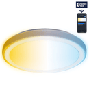 LUZ DE TETO INTELIGENTE DE CONETIVIDADE BLUETOOTH 24W CCT