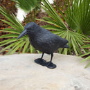 CORVO ANTI-PÁSSAROS 36X13X18CM