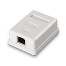 AISENS A139-0303 caixa de conexões de rede Cat6 Branco