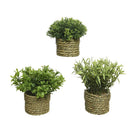 PLANTA ARTICIAL DE POLIÉSTER Ø16X13CM CORES / MODELOS DIVERSOS