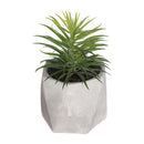 PLANTA DECORATIVA COM VASO 7X14CM MODELOS SORTIDOS