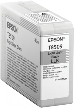 Epson T850900 tinteiro 1 unidade(s) Original Preto muito claro