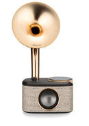 RADIO SANGEAN SCP100DBG BLACK GOLD