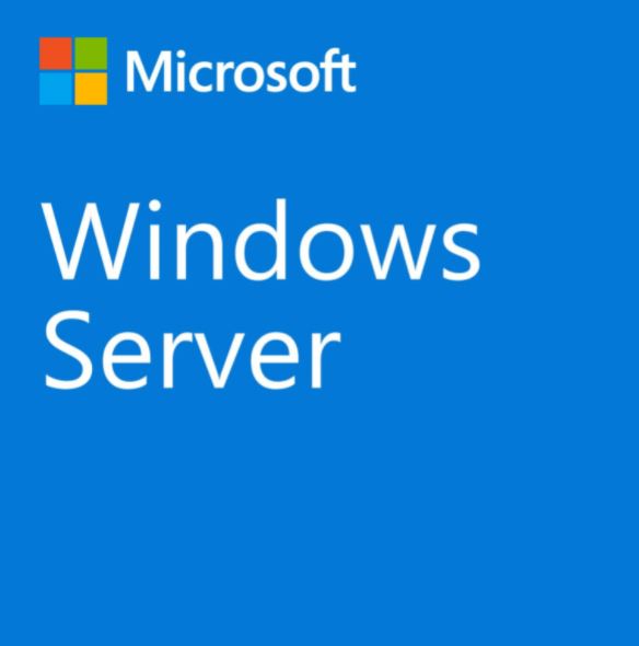 WINDOWS SERVER CAL 2022 PORTUGUESE 1PK DSP OEI 1 CLT USER CAL