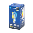BLUETOOTH LÂMPADA DE FILAMENTO INTELIGENTE ST64