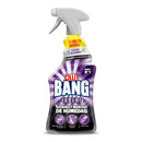 PRODUTO DE LIMPEZA EM SPRAY EXPERT MANCHAS DE HUMIDADE, 1 L