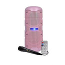 COLUNA INFINITON K50ROSA( 50 W - ENTRADA DE MICROFONE - ENTRADA A