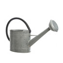 REGADOR DE ZINCO 5 L 55X15X31CM