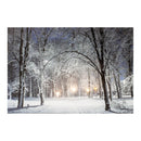 QUADRO LED PAISAGENS NEVADOS 58X1,5X38CM 6 LEDS 2 MODELOS SORTIDO