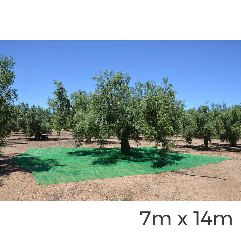 MANTO PARA COLETA DE FRUTAS 7X14M COR VERDE