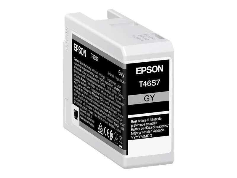 Epson UltraChrome Pro tinteiro 1 unidade(s) Original Cinzento