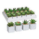 SUCULENTA VERDE MODELOS DIVERSOS. 4 MODELOS DIFERENTES. PREÇO POR