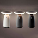 CANDEEIRO SOLAR TÁTIL 22CM CORES SORTIDAS 897850