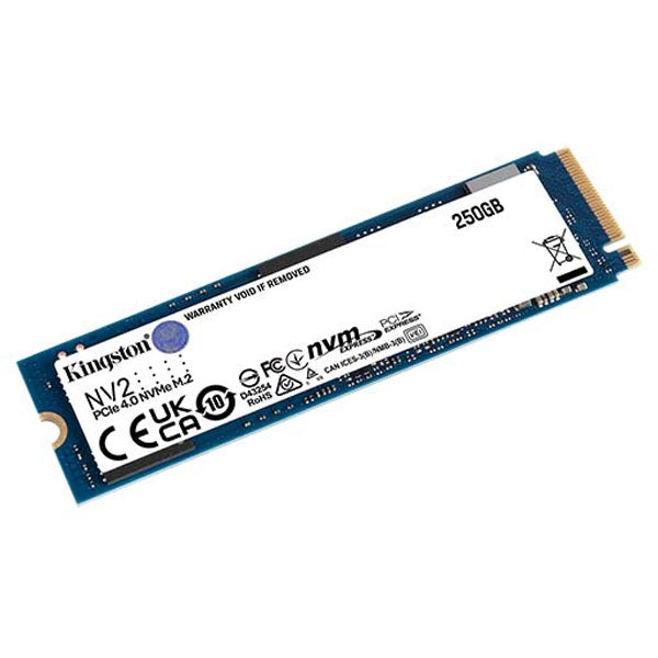 250G NV2 M.2 2280 PCIE 4.0 NVME SSD