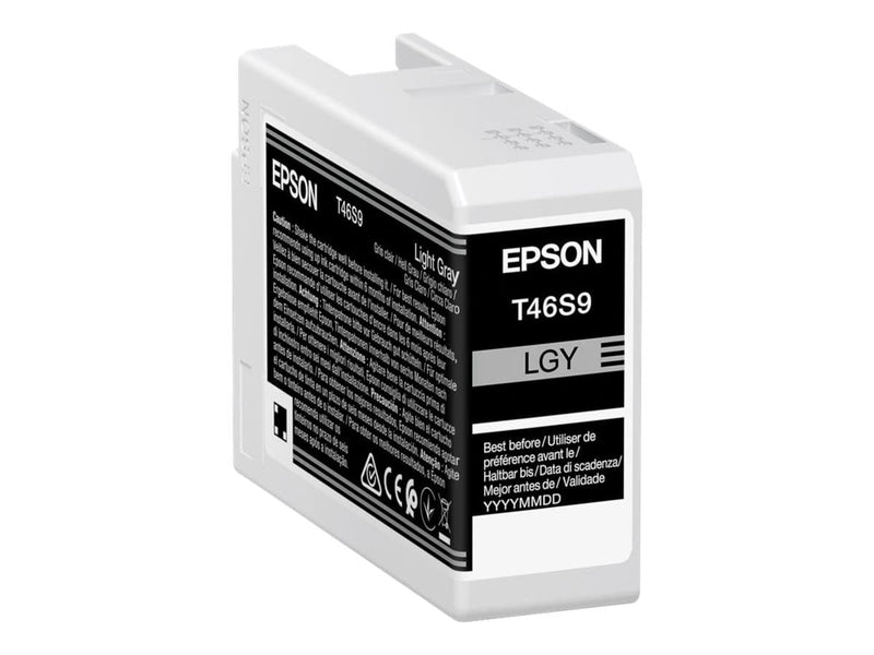 Epson UltraChrome Pro tinteiro 1 unidade(s) Original Cinzento cla