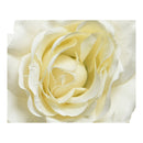 ROSA COM CLIP DE POLIÉSTER CORES SORTIDAS Ø8,5X14CM