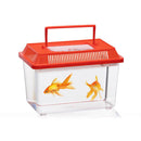 CAIXA PARA INSETOS CORES SORTIDAS