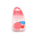 VASELINA COM PERFUMADO NEUTRO 12 GR