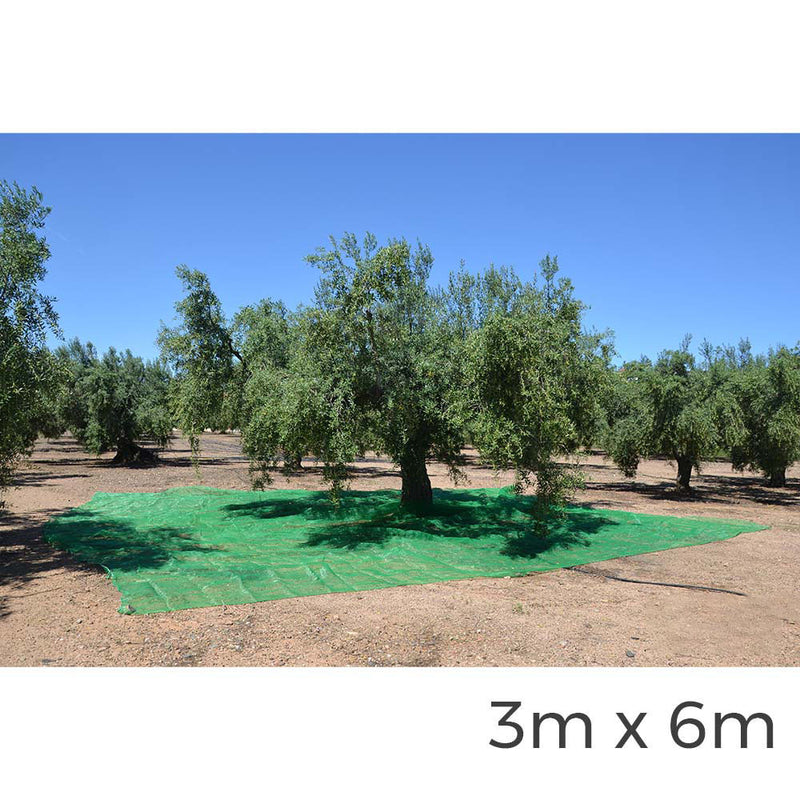 MANTO PARA COLETA DE FRUTAS 3X6M COR VERDE