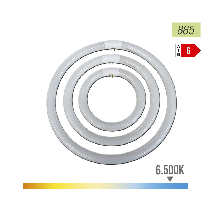 TUBO CIRCULAR FLUORESCENTE 40W Ø40CM TRIFÓSFORO 6500K LUZ FRIA PH