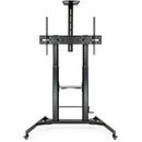 TooQ ZEUS 2,54 m (100") Preto