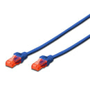 Ewent IM1001 cabo de rede Azul 0,5 m Cat6 U/UTP (UTP)