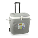 GELEIRA RÍGIDA PREMIUM 41L,CINZENTA HIDALGO