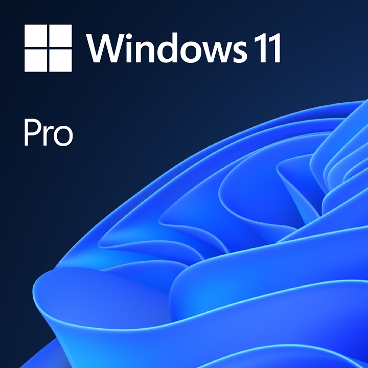 WIN 11 PRO GGK 64BIT PORTUGUESE 1PK DSP ORT OEI DVD