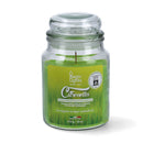 VELA CITRONELA EM FRASCO 510ML MAGIC LIGHTS