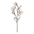 MAGNOLIA COR ROSA 88CM