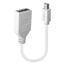 Lindy 41021 cabo DisplayPort 0,15 m Mini DisplayPort Branco