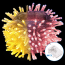 FIOS DE LUZ SEM BATERIA 3AA