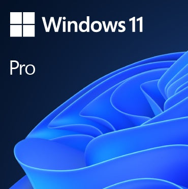 WIN 11 PRO 64BIT PORTUGUESE 1PK DSP OEI DVD