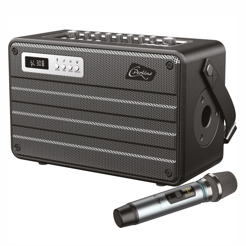 COLUNA AMPLIFICADA ALL-IN-ONE 100W 95DB C MICROFONE UHF