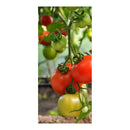 GUIA PARA PLANTAS DE TOMATE, Ø6 MM X 180 CM