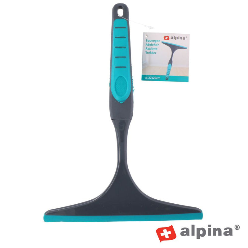 ESCOVA LIMPEZA VIDROS 20CM ALPINA