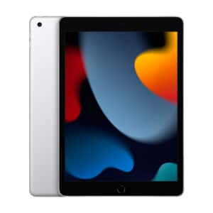 APPLE IPAD 10.2 2021 9TH WIFI  A13 BIONIC  64GB  PRATEADO - MK2L3