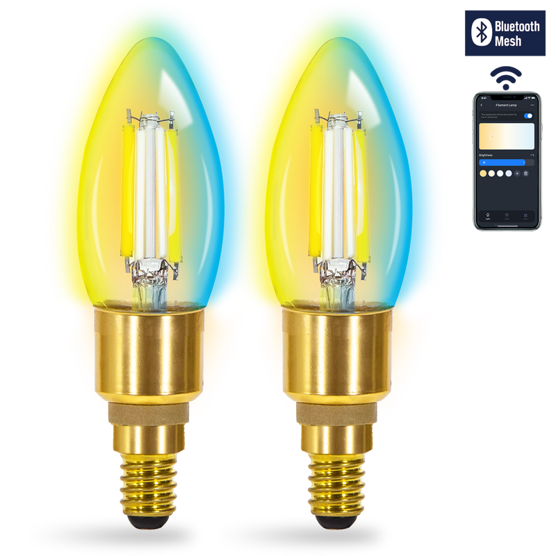 BLUETOOTH LÂMPADA DE FILAMENTO INTELIGENTE C35