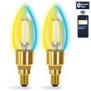 BLUETOOTH LÂMPADA DE FILAMENTO INTELIGENTE C35
