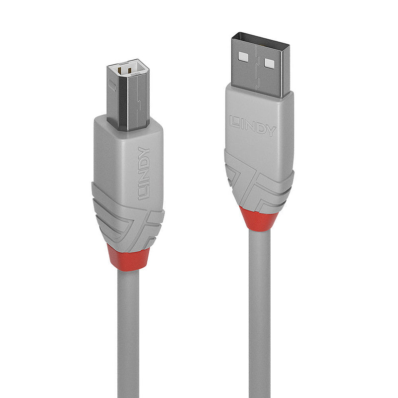 Lindy 36681 cabo USB 0,5 m USB 2.0 USB A USB B Cinzento