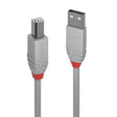 Lindy 36683 cabo USB 2 m USB 2.0 USB A USB B Cinzento