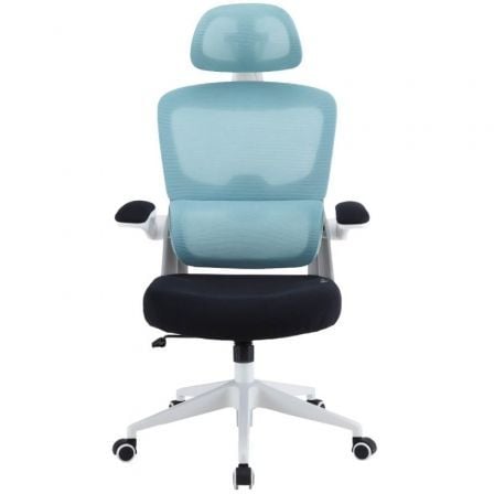 SILLA GAMING WOXTER ERGO AZUL