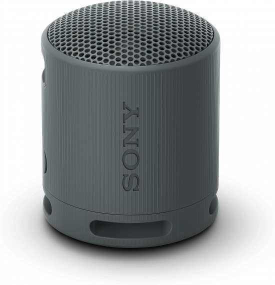 Sony SRS-XB100 Coluna portátil mono Preto