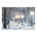 QUADRO LED PAISAGENS NEVADOS 58X1,5X38CM 6 LEDS 2 MODELOS SORTIDO