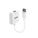 Lindy 38146 adaptador de cabo de vídeo HDMI Type A (Standard) Dis