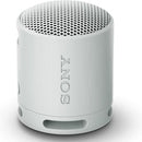 Sony SRS-XB100 Coluna portátil mono Cinzento