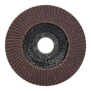 DISCO LÂMINAS CONVEXO ÓXIDO DE ALUMÍNIO T29, Ø125 X 22,2 MM, GRÃO