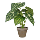 PLANTA ARTIFICIAL CALADIUM ´´ORELHA DE ELEFANTE´´ VERDE COM VAS