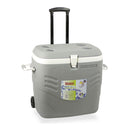 GELEIRA RÍGIDA PREMIUM 41L,CINZENTA HIDALGO