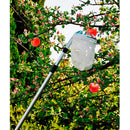 RECOLHEDOR DE FRUTAS TELESCÓPICO EXTENSÍVEL DE 130-240CM GROUW